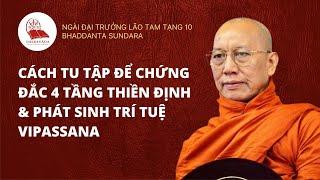 Cách Tu Tập Để Chứng Đắc 4 Tầng Thiền Định & Phát Sinh Trí Tuệ Vipassana - Ngài Tam Tạng 10 Thuyết