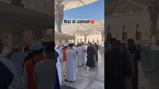 Riaz ul jannah️ #madinahalmunawwarah #umrahtrip #riyazuljannah #umrahwithalsalam #alsalamtours