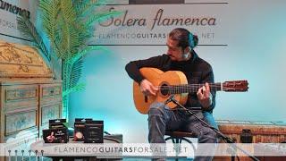 Sobrinos de Domingo Esteso 1972 flamenco guitar played by José Andrés Cortés. S. F. Collection