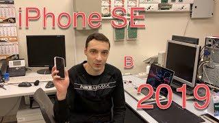 iPhone SE в 2019. Поддержка, перспективы. Стоит ли взять?