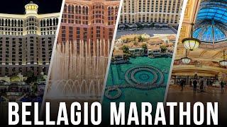 5 Years of Bellagio Changes You Won't Believe (2019-2024)