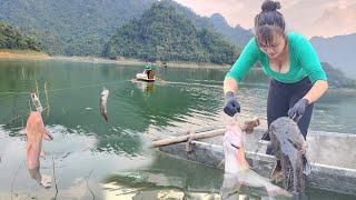 How the girl used many scrap bottles to make fishing rods to trap fish and trap fish overnight