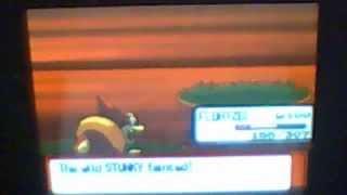 funky pop pokemon vid!