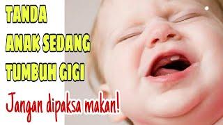 KENALI TANDA ANAK SEDANG TUMBUH GIGI | JANGAN DIPAKSA MAKAN!