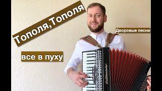 Тополя, Тополя все в пуху | Лучшая дворовая песня под аккордеон | Accordion Song