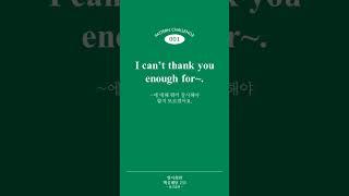 [영어회화 핵심패턴 233 중고급편] Pattern 001 I can’t thank you enough for ~.