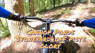 Glorious Stoneyard - Steep, Sunny, Grippy, Gnarly! Forest of Dean MTB