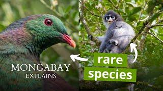 What is an endemic species? | Mongabay Explains