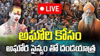 అఘోరి కోసం అఘోర సైన్యం తో దండయాత్ర  | Aghori Naga sadhu Live Updates : @nnmediatrending