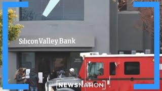 SVB, Signature Bank collapse: What went wrong? Expert weighs in | Morning in America