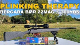 Bergara BMR 22WMR at 300 Yards (Plinking Therapy 3)