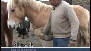 Amore per gli animali e persone speciali