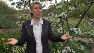 "Молитва за Україну " -   Лариса Кривенко