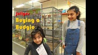 Buying a Budgie, Parakeet Bird for the First Time from a Pet Shop - Jollyes UK