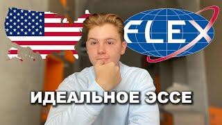 Как написать идеальное ЭССЕ для FLEX? | Mark K