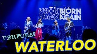 Bjorn Again perform ABBA's hit Waterloo