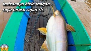 strike ikan monster patin liar ini bikin saya minta ampun !!! mancing di sungai besar kalimantan