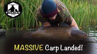 Massive Carp Landed!