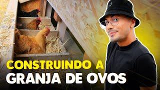 CONSTRUINDO UMA GRANJA DE OVOS