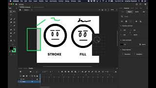 STROKE VS FILL | Adobe Animate Intro