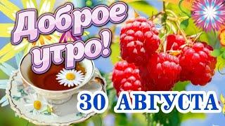 Доброго утра и ещё лучшего дня! ️ Доброго утречка Вам! Самые теплые пожелания с Добрым утром! 