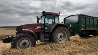 Farm update 283, Wheat harvest prospects improve but huge variation between varieties.