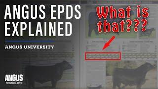 EPDS AND GENOMICS 101 - Expected Progeny Difference EXPLAINED