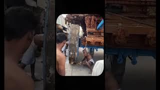 Devotion on Wheels: The Epic Thiruther Chariot Festival of Tiruvallur! #shorts