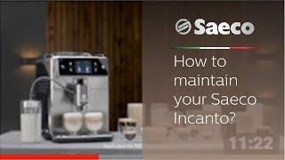 How to maintain your Saeco Incanto?