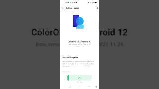 OPPO Reno 6 Colour Os 12 With Android 12 Beta Update Received