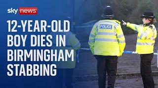 A 12-year-old boy has died after stabbing in Birmingham