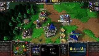 Fly(ORC) vs Sok(HU) - Warcraft 3: Classic - RN7435