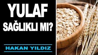 Yulaf sağlıklı bir besin mi?