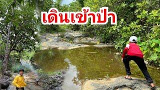 เดินข้าวป่า walking into the forest