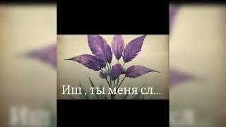 Выращивание растений