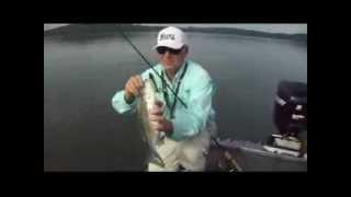 Kentucky, Smallmouth, Largemouth and White Bass Patterns - Table Rock Lake - Nov 2013