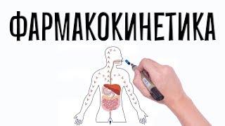 Фармакология. Фармакокинетика (простым языком).