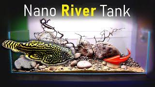 Building a RIVER TANK w/ Fast Flow! (Panda Garra & Hillstream Loach) Part 1 | MD Fish Tanks