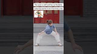 The Best Tai chi Workout || Wudang Zidong || Chinese Culture || Qi Gong