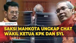 Saksi Mahkota Kasdi Ungkap Isi Chat Wakil Ketua KPK Alexander Marwata dengan Eks Mentan SYL