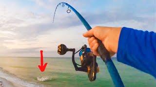 I Caught The World's Most Dangerous Beach Fish!