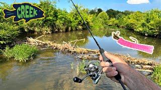 Little Lure Catches EVERYTHING in Tiny Creek