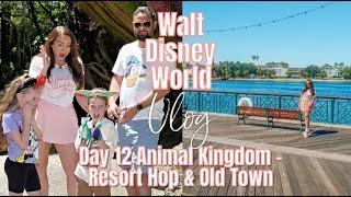 Orlando Florida Travel Vlog 2024 | Animal Kingdom | Resort Hop | Old Town