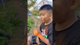 Chia sẻ cây kem sô cô la với cậu bé️ #shortvideo #viralvideo #short