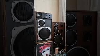 Radiotehnika - Радиотехника #montecarlo #радиотехника #ссср #винтаж #колонки