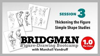 Bridgman Bootcamp 2020, Session 3 of 12