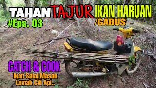 Tahan Tajur Ikan Haruan / Gabus (Eps.  03)