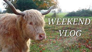 Weekend Vlog - COWS! Road trip to Cotswold - UK Countryside - Relaxing walk with friends