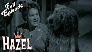 Hazel | Hazel's Dog Days | S1EP14 FULL EPISODE | Classic Tv Rewind