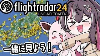 【Flightradar24】フライトレーダー24を眺めるだけ【ホロライブ / AZKi】